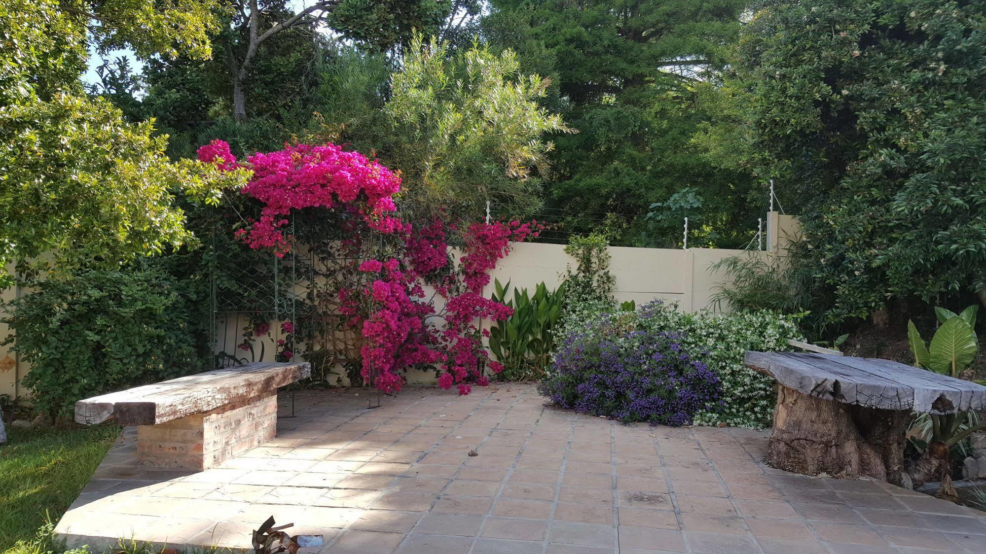 Riverside Cottages Constantia Ngoại thất bức ảnh